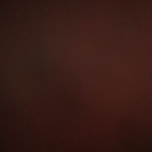 Meet your Posher, Savannah